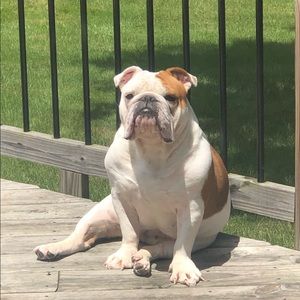 Meet your Posher, Mark